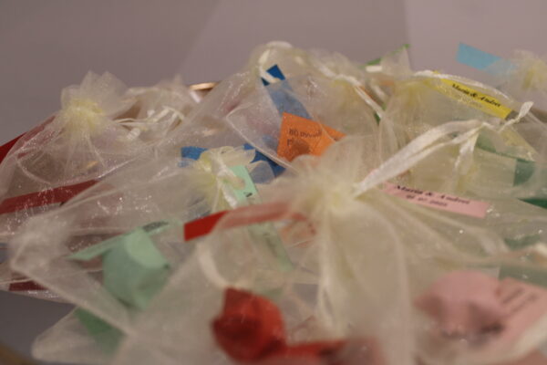 Mărturie Nuntă - Punguță organza cu steluță - Image 2