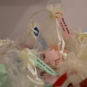 Mărturie Nuntă - Punguță organza cu steluță